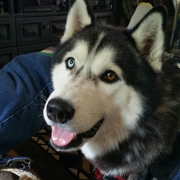 Meet your Posher - Picture 2 of 3